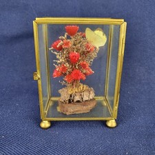 Vintage dried flower for sale  Boonville