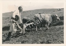 Foto wkii wehrmacht gebraucht kaufen Foto wkii wehrmacht gebraucht kaufen  München