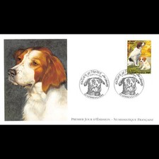 Fdc lnf chiens d'occasion  Crécy-la-Chapelle