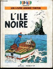 Ile noire livre d'occasion  Saint-Denis-de-Pile