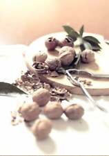 Fruit still life usato  Italia