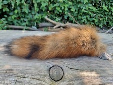 Red fox tail for sale  HULL