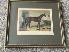 Cossack winner derby for sale  FORDINGBRIDGE