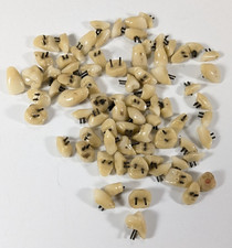 Teeth loose acrylic for sale  Kennebunk