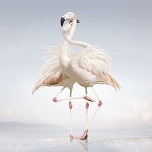 Green language rustie gebraucht kaufen  Berlin