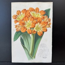 Antique hand colored d'occasion  Expédié en Belgium