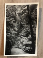 Palmengarten frankfurt großes gebraucht kaufen  Burkau