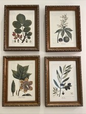 Bombay company framed for sale  Cumming