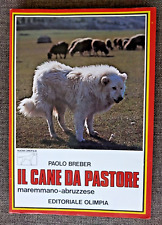 Paolo breber cane usato  Roma