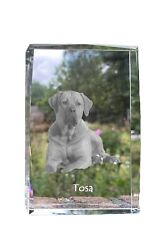 Tosa Inu ,Tosa-Hund - Cristallo Con Hundebild,Immagine IN Vetro,Moderno Ausste na sprzedaż  PL