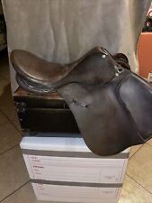 Ainsley toklat english for sale  Gilbert