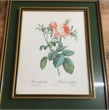 Framed rose art for sale  HARROGATE