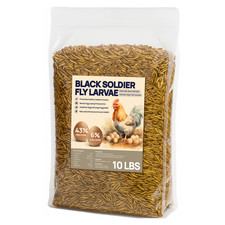 Dried black soldier for sale  Salem