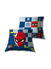 Coussin spiderman 40x40 d'occasion  Nancy-
