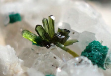 Usado, OLIVENITA + CORNWALLITE * PEQUENOS CRISTAIS VERDES EM QUARTZO! Mina Clara, ALEMANHA comprar usado  Enviando para Brazil