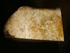 Old petrified palmwood for sale  Dyer