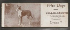 Sharps prize dogs for sale  COLNE