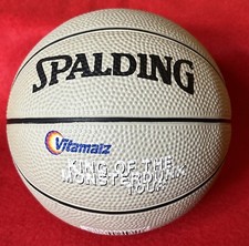 Mini kinder basketball gebraucht kaufen  Werther