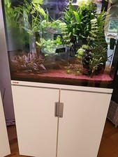 Aquarium incpiria 200 gebraucht kaufen  Heidelberg