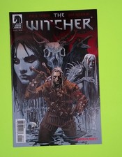 The witcher 2014 d'occasion  Expédié en Belgium