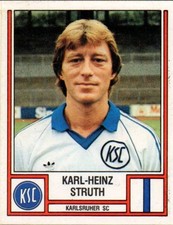 Panini fußball struth gebraucht kaufen  Witzenhausen
