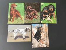 Set lot verschiedenen gebraucht kaufen  Borna