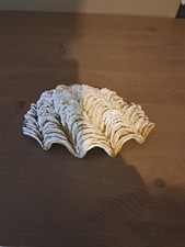 Coquillage collection benitier d'occasion  Chaumont