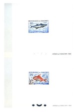 Fauna. pesce. schede usato  Milano