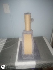 Small cat scratch for sale  Yulee