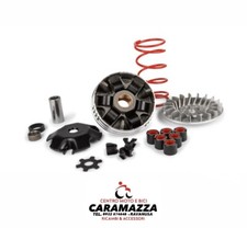 5112800 variatore malossi usato  Ravanusa
