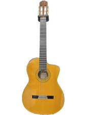 Takamine classic guitar d'occasion  Expédié en Belgium
