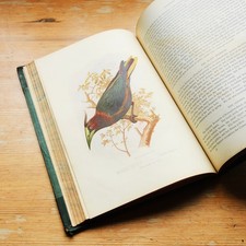 Cassell book birds for sale  STRATHPEFFER