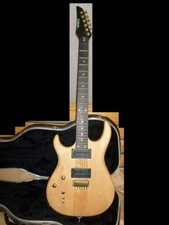 Carvin 127 strat gebraucht kaufen  Herzberg am Harz