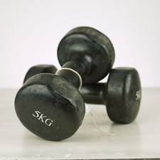 5kg manubri coppia usato 5kg manubri coppia usato Ferrara