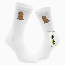 Calze unisex lagotto usato  Spedire a Italy
