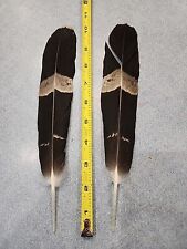 Bv62 pen raised for sale  Hinton