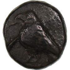 Troas diobol 6ème d'occasion Troas diobol 6ème d'occasion  Lille-