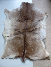 damhirsch gebraucht kaufen damhirsch gebraucht kaufen Bielefeld