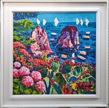 Capri maestosità dei usato  Caserta