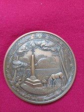 Grosse medaille bronze d'occasion  Nantes-
