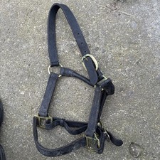 Leather headcollar pony for sale  DARLINGTON