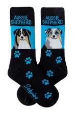 Australian shepherd crew for sale  Rochester
