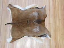 Mufflon mufflonfell mufflondec gebraucht kaufen Mufflon mufflonfell mufflondec gebraucht kaufen  Nürnberg