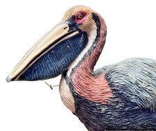 Pelican figurine wings for sale  Great Neck
