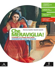 Che meraviglia album usato  Sesto San Giovanni