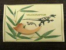 velociraptor claw for sale velociraptor claw for sale OSWESTRY