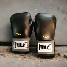 Everlast ever fresh for sale  Grand Rapids