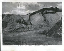 1973 press photo for sale  Memphis