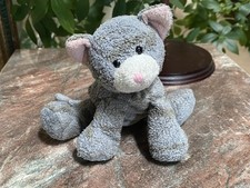 Russ gray tabby for sale  Colorado Springs