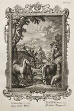 Usado, Scheuchzer Physica Sacra Print Tab 21 Bíblia Animais Gênesis comprar usado  Enviando para Brazil